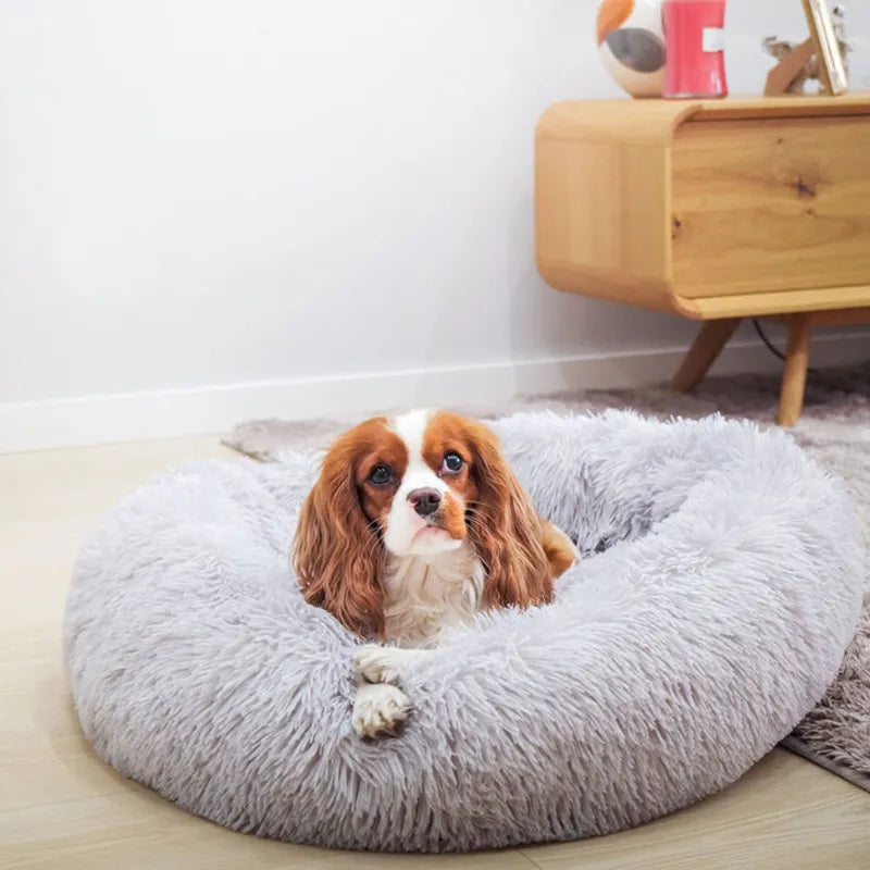 Super Soft Pet Bed - Petsunsets