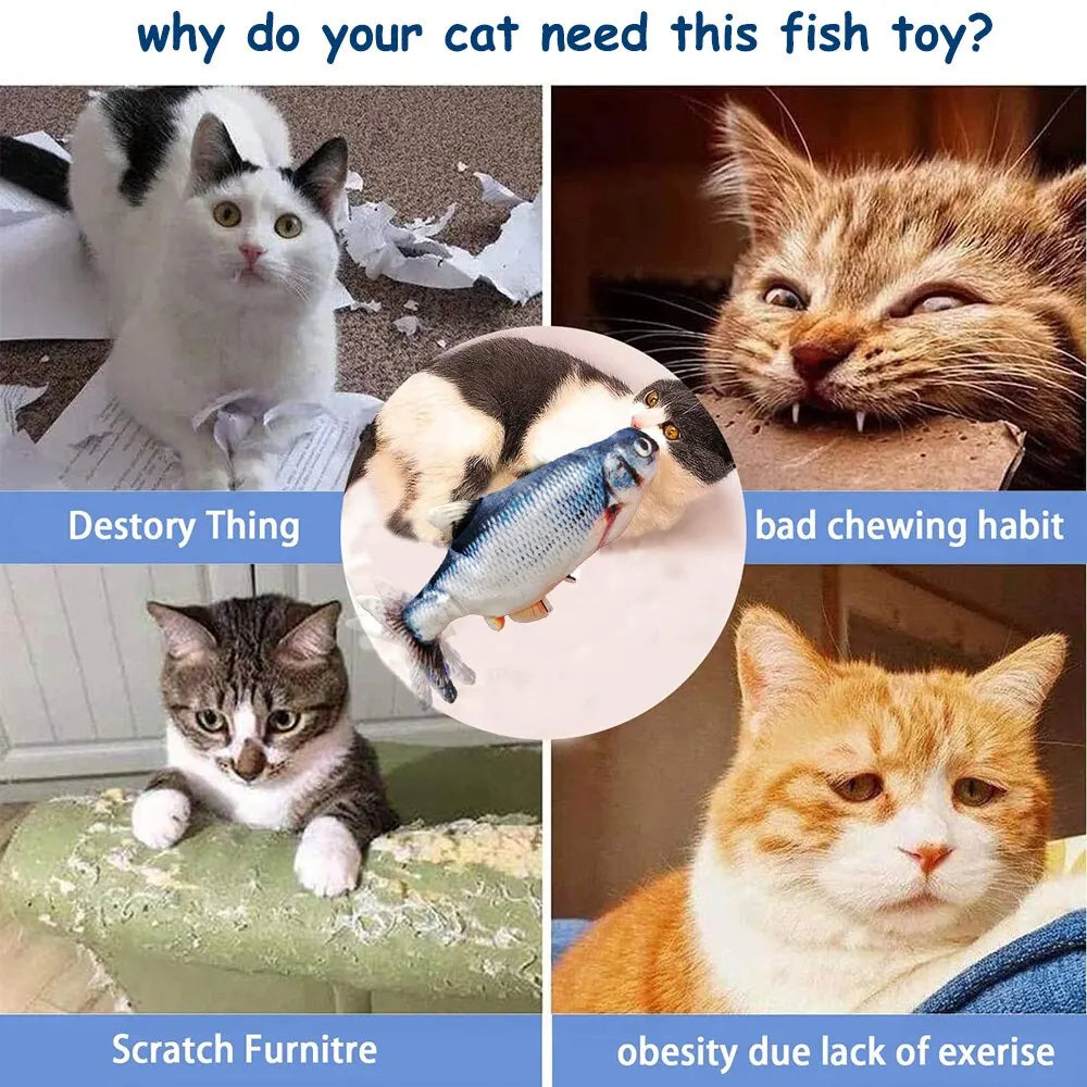 Pet Fish Soft Plush Toy - Petsunsets