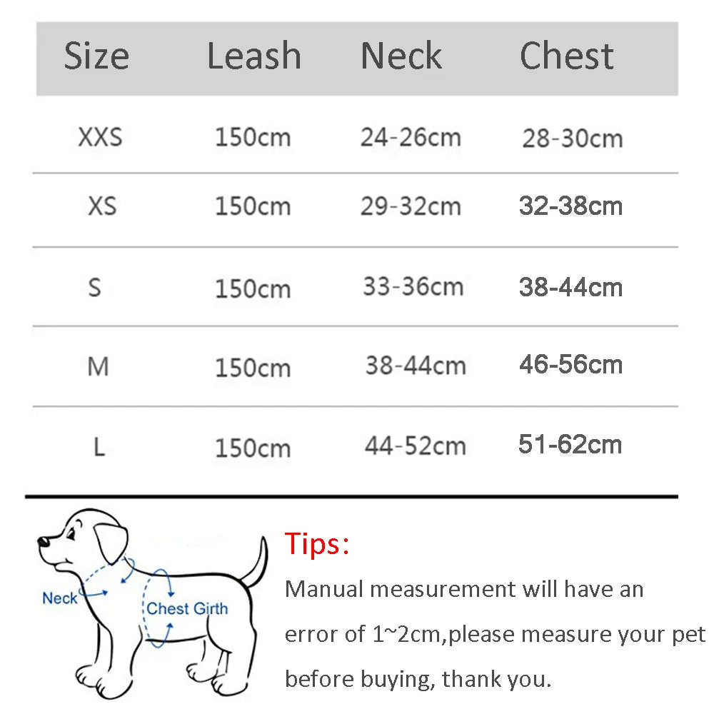 Leash Set for Small Pet Dog - Petsunsets